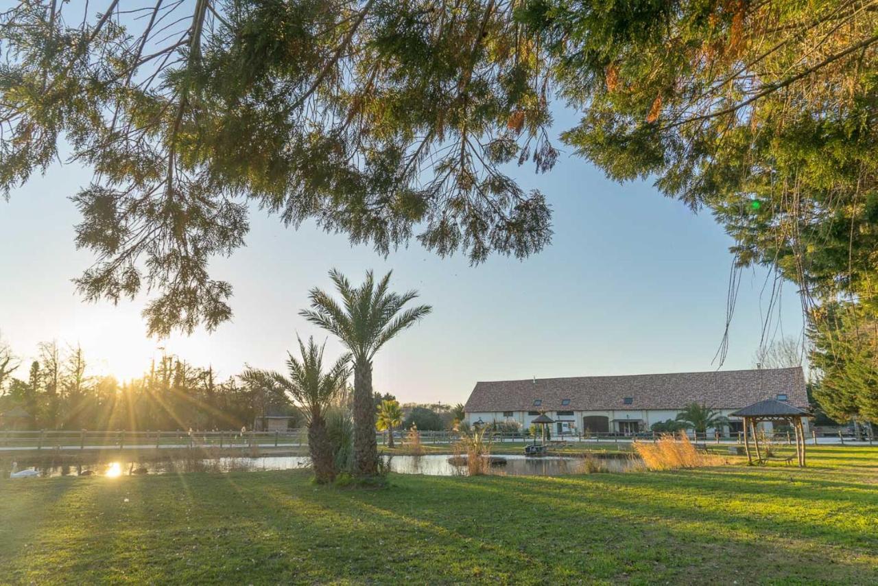 Abri Cosy - Suite Romantique En Camargue Saint-Gilles  Luaran gambar