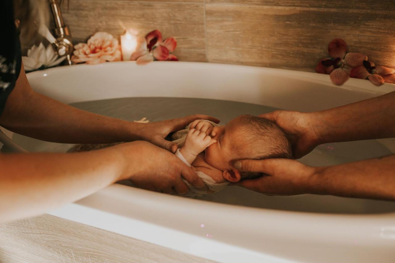 Abri Cosy - Suite Romantique En Camargue Saint-Gilles  Luaran gambar
