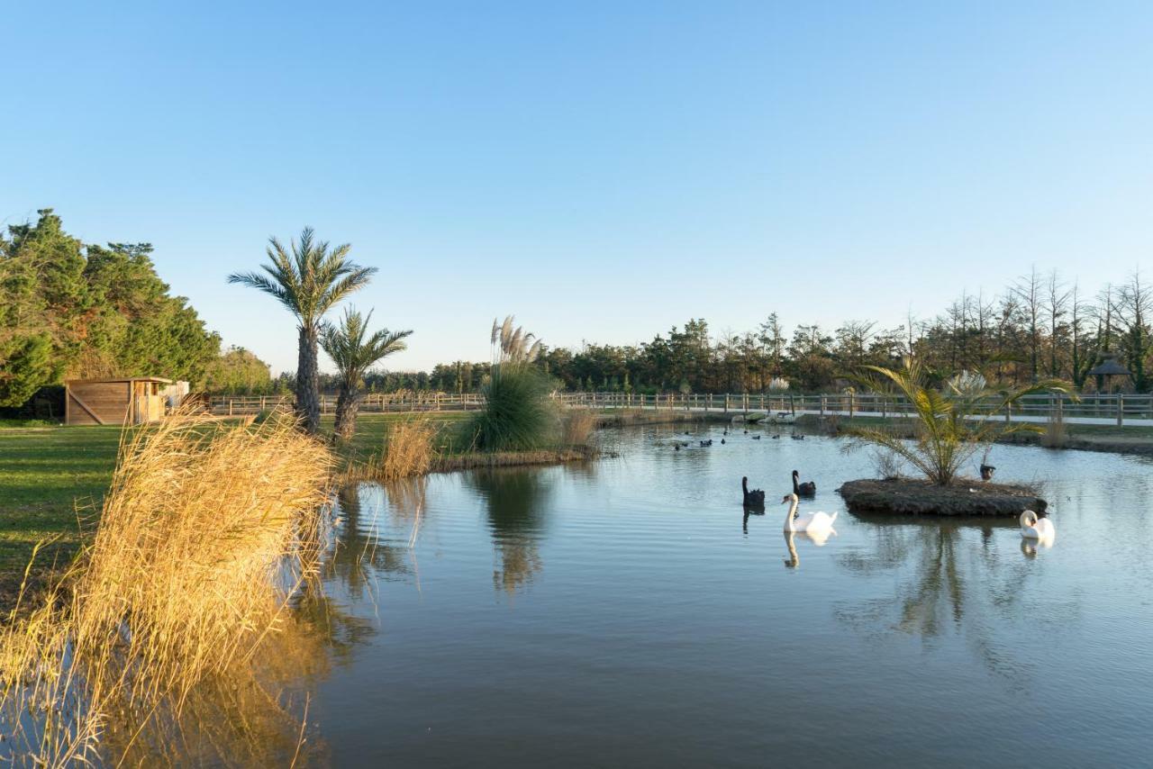Abri Cosy - Suite Romantique En Camargue Saint-Gilles  Luaran gambar